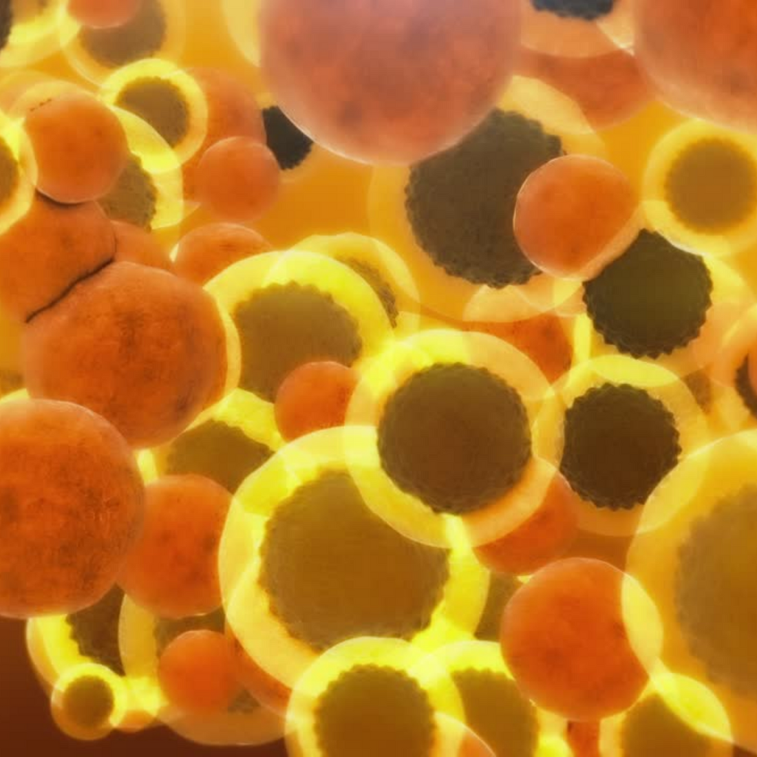 How Solarplast Goes Beyond Liposomal Glutathione