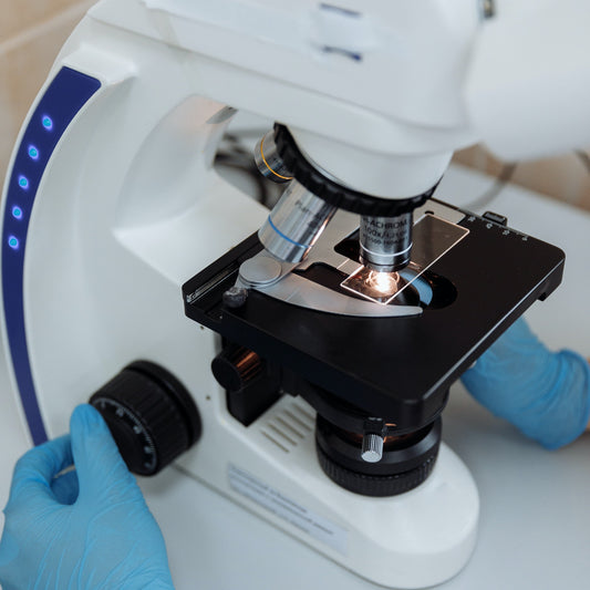 An Inside Look At The World Of Probiotic Manufacturing