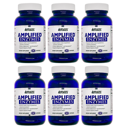 Amplified Enzymes - 6 pack